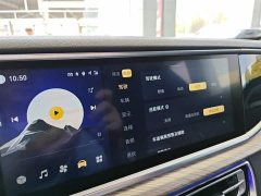 Hongqi H9 2020 2.0T Zhilian Qichang Edition - фото 20