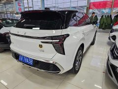 Hongqi HS3 2.0T four-wheel drive promising version - фото 5