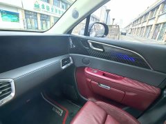 Hongqi E-HS9 460km flagship version six seats - фото 13