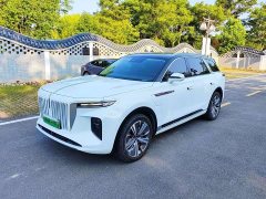 Hongqi E-HS9 460km Qiyue version seven seats - фото 1