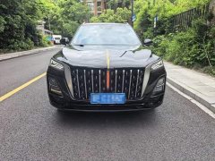 Hongqi HS5 2023 2.0T Qixiang Pro Edition - фото 2