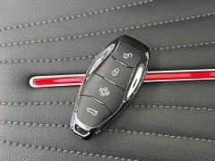 Hongqi H5 2024 2.0T Automatic Intelligent Connected Flag Edition - фото 19