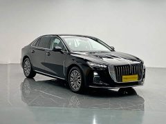 Hongqi H5 2024 2.0T Automatic Intelligent Connected Flag Edition - фото 8