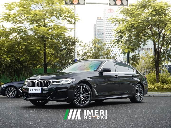 BMW 5 Series 530Li leading M sports package - автомобиль из Китая