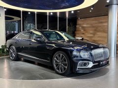 Geely Flying Spur 6.0T W12 Standard Edition - фото 3