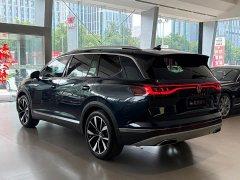 Lanjing 530TSI four-wheel drive flagship Shengjing Edition Pro 7 seats - фото 7