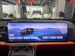 Geely Galaxy M9 210km AWD Pilot Edition - фото 15