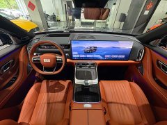 Geely Galaxy M9 210km AWD Pilot Edition - фото 6