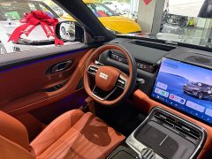 Geely Galaxy M9 210km AWD Pilot Edition - фото 9