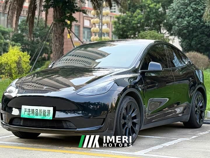 Tesla Model Y rear-wheel drive version - автомобиль из Китая