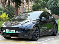Tesla Model Y rear-wheel drive version - фото 1