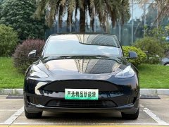 Tesla Model Y rear-wheel drive version - фото 2
