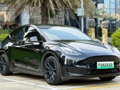 Tesla Model Y rear-wheel drive version - фото 3