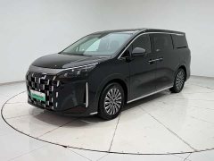 BYD M9 1060 Pilot Edition - фото 2