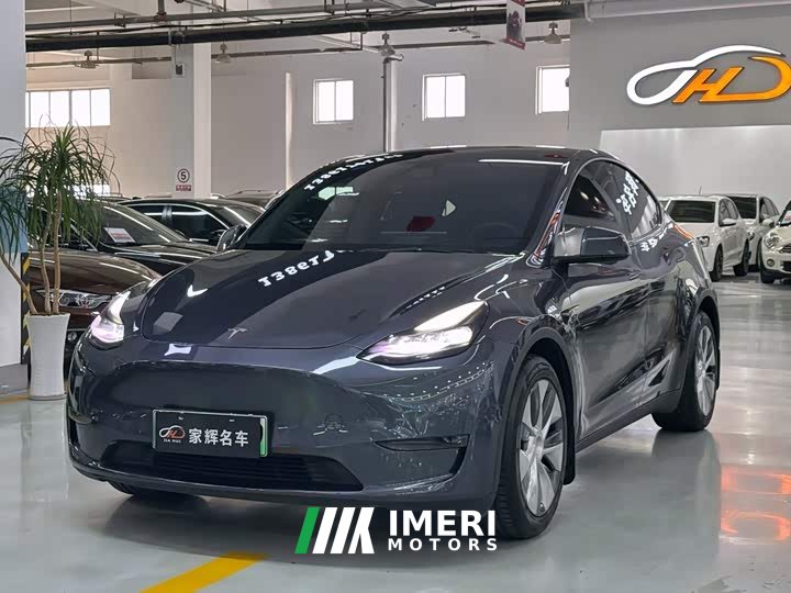 Tesla Model Y standard range rear-wheel drive version - автомобиль из Китая