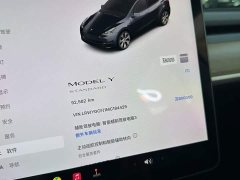Tesla Model Y standard range rear-wheel drive version - фото 13