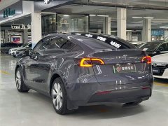 Tesla Model Y standard range rear-wheel drive version - фото 6