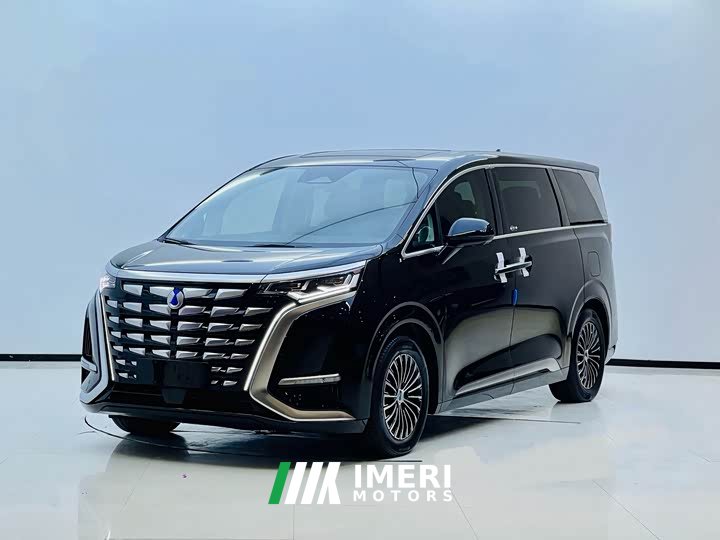 Denza D9 2024 DM-i 980 four-wheel drive premium