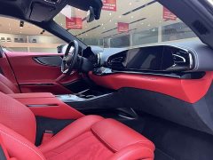 Denza Purosangue 2023 6.5L V12 - фото 10