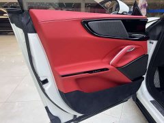 Denza Purosangue 2023 6.5L V12 - фото 13