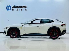Denza Purosangue 2023 6.5L V12 - фото 3