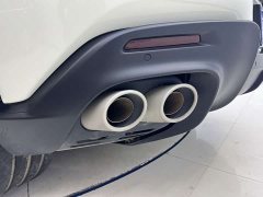 Denza Purosangue 2023 6.5L V12 - фото 7