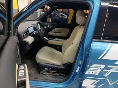 Baojun Yueye Plus Zhizun Edition 4 seats - фото 10