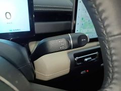 Baojun Yueye Plus Zhizun Edition 4 seats - фото 8