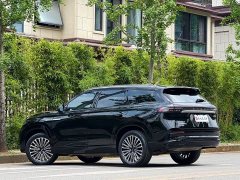 Lynk & Co Tiggo 9 C-DM 1.5T 106KM Yuexiang version 5 seats ternary lithium - фото 11