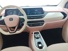 Changan Benben E-Star 2022 Qingxin Edition Colorful Edition Lithium Iron Phosphate - фото 12