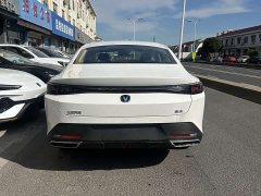 Changan Eado Blue Whale 1.5T 500Bar Premium Type - фото 5