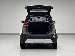 Chery Little Ant 150,000 Ant Pink Ant Cool Edition Lithium Iron Phosphate - фото 14