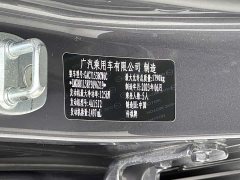 Trumpchi Shadow Leopard 270T DCT J11 version - фото 18