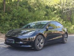Tesla Model 3 rear-wheel drive version - фото 1