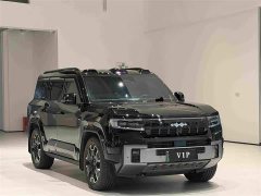 Fangchengbao Leopard 8 Zhiyong flagship version 6 seats - фото 3