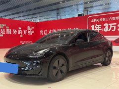 Tesla Model 3 2020 Standard Range Rear Drive Upgraded Version - фото 1