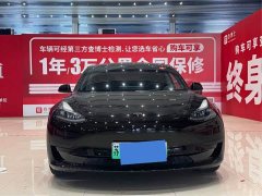 Tesla Model 3 2020 Standard Range Rear Drive Upgraded Version - фото 2