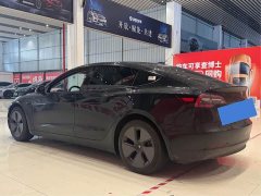 Tesla Model 3 2020 Standard Range Rear Drive Upgraded Version - фото 6