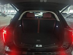 Hongqi E-HS9 660km Qichang version six seats - фото 15