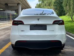 Tesla Model Y 2024 long-range all-wheel drive version - фото 5