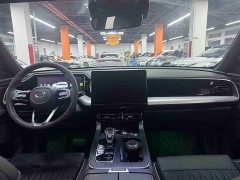 Trumpchi GS8 2025 Pilot Series 2.0TGDI two-wheel drive luxury version 5 seats - фото 13