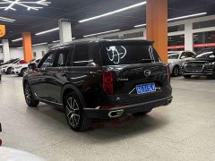 Trumpchi GS8 2025 Pilot Series 2.0TGDI two-wheel drive luxury version 5 seats - фото 6