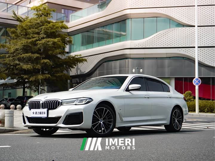 BMW 5 Series 530Li Leading M Sports Package - автомобиль из Китая