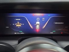Hongqi E-HS9 2022 690km Qixiang Edition Six-Seater - фото 14