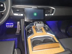 Hongqi E-HS9 2021 Qixian Edition 6-Seater - фото 16