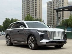 Hongqi E-HS9 2022 660km Flagship Edition Four-Seat - фото 10