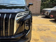 Hongqi HS7 PHEV 2.0T PHEV four-wheel drive flag collar version 6 seats - фото 3