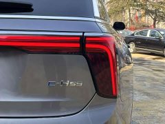 Hongqi E-HS9 2022 690km Qixiang Edition Six-Seater - фото 16