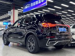 Ora Hongqi HS5 2023 2.0T Qixiang Pro 500,000 Commemorative Edition - фото 10