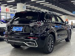 Ora Hongqi HS5 2023 2.0T Qixiang Pro 500,000 Commemorative Edition - фото 12